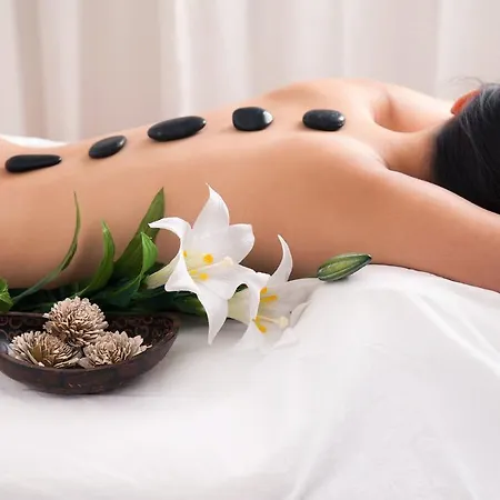 Terme Abano Verdi מלון 4*